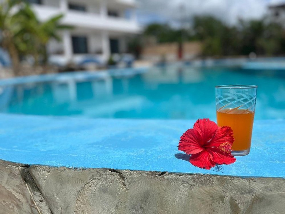 Drink a bordo piscina con fiore rosso